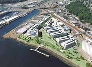 Immunex campus