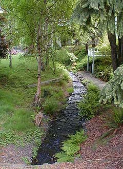 Hindley Creek