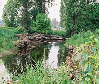  Bear Creek 