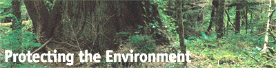 [Protecting the Environment '99]