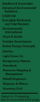 Surveyed firms