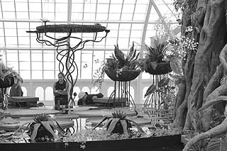 Pond Room 