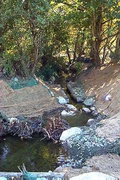 Longfellow Creek streambed