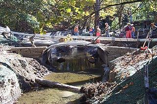 Longfellow Creek