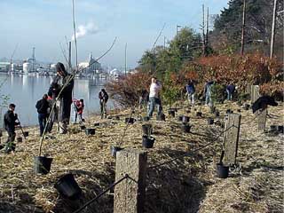 volunteers