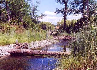Tibbetts Greenway Project