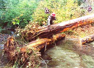  Trap Creek