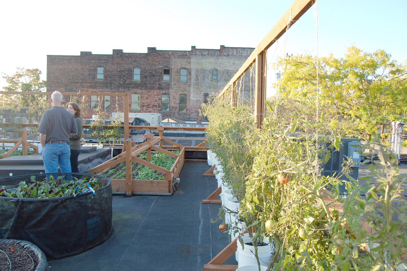 garden