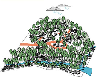 Impact tree inventory