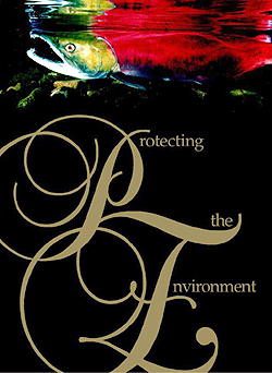 Protecting the Environment