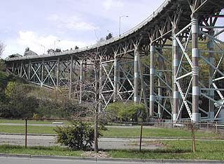 Magnolia Bridge 