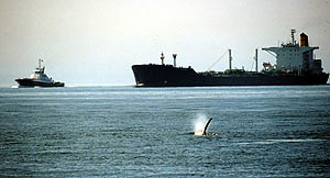 Oil tanker