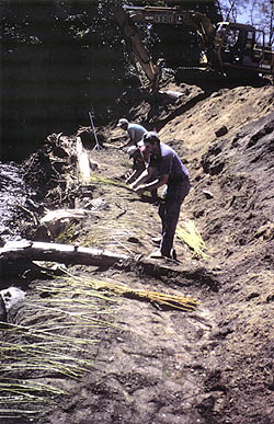 Avondale Road project