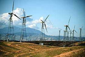 Wind turbine farm