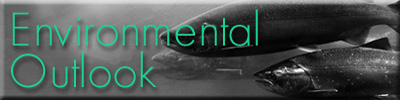 [Environmental Outlook]