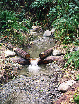 Venema Creek