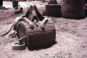 Bloodhound in sand