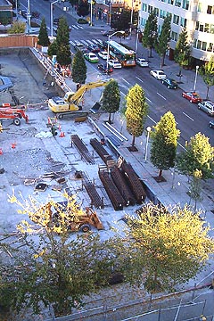 Carpenters Tower trees