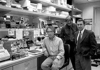 Gallis, Gianopoulos, and Robertson