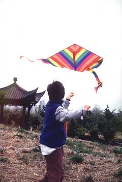 kite