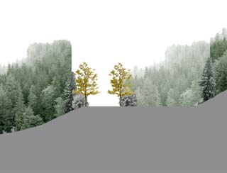 the Allée of the Cascades in the Arboretum of the Cascades 