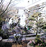  Waterfall Garden 