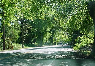 elms on Des Moines Memorial Drive