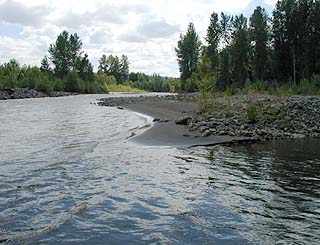  Carbon River 