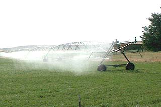 irrigation 