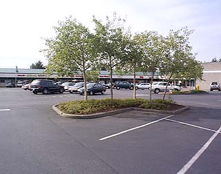 typical commercial parking lot 