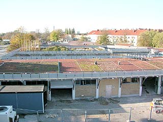 Augustenborg Botanical Roof Garden 