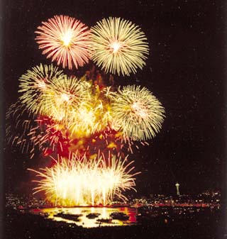  Fireworks 