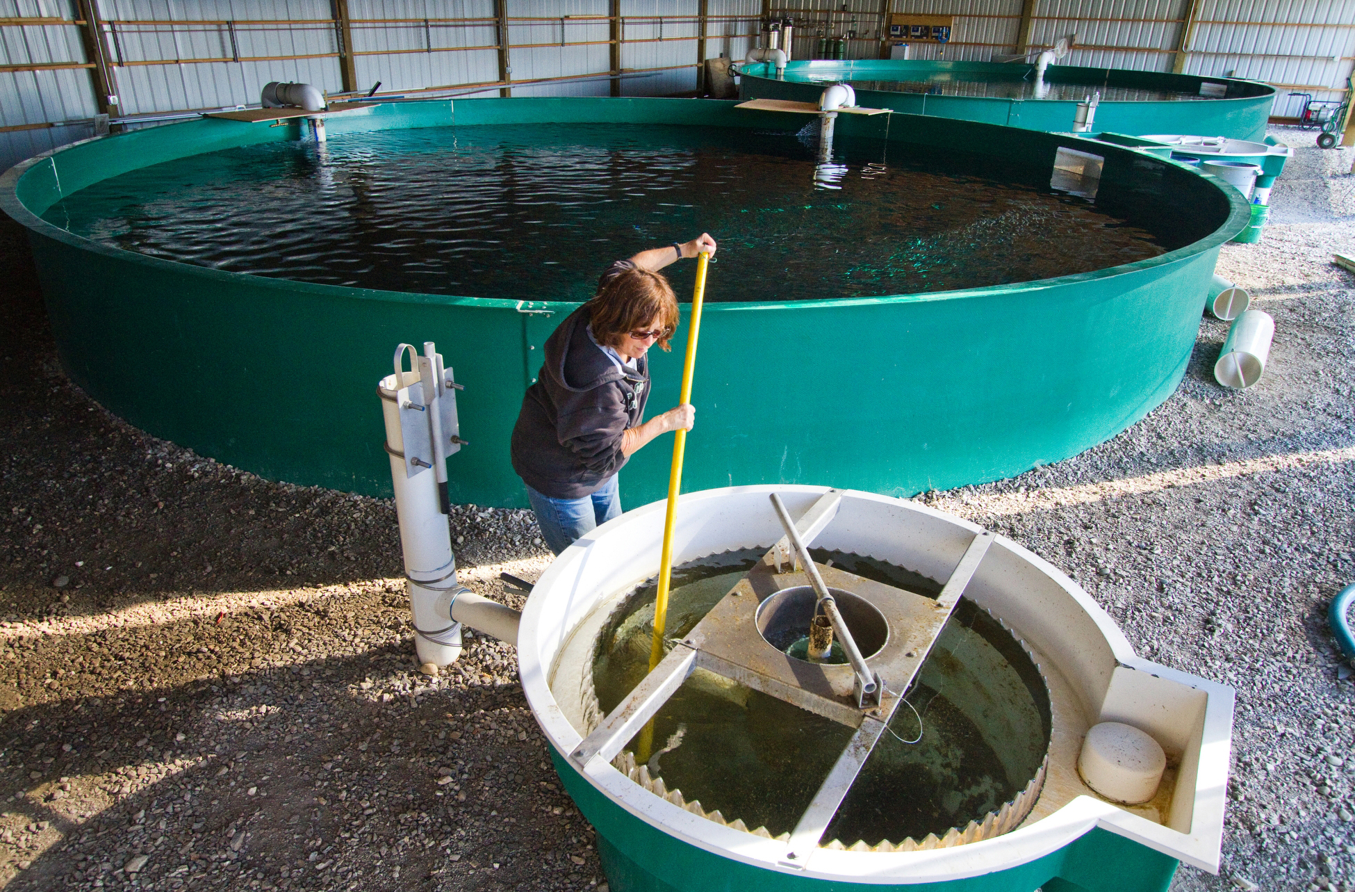 Fish Treadmill Seattle DJC.com local business news and data - Environment - Wenatchee ...